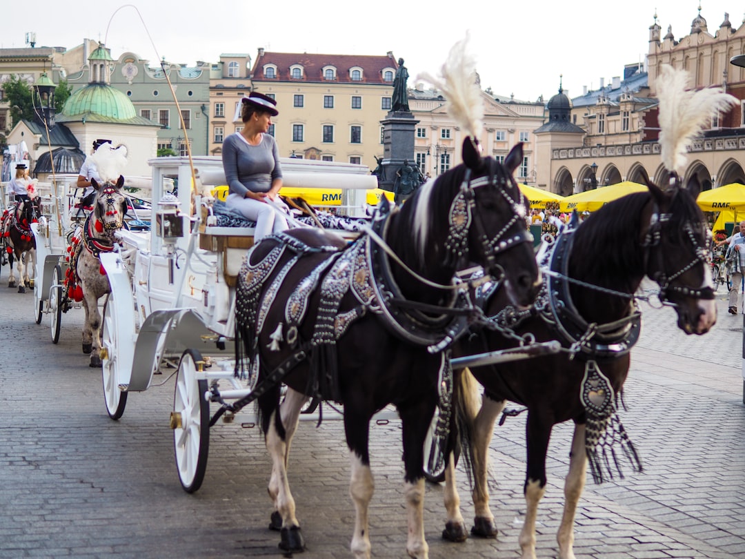 découvrez les tarifs des taxis à cracovie près de l'aéroport jean-paul ii pour un trajet confortable et abordable.
